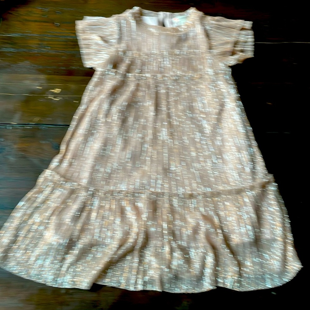 Beautiful flapper style girls dress from J Crew